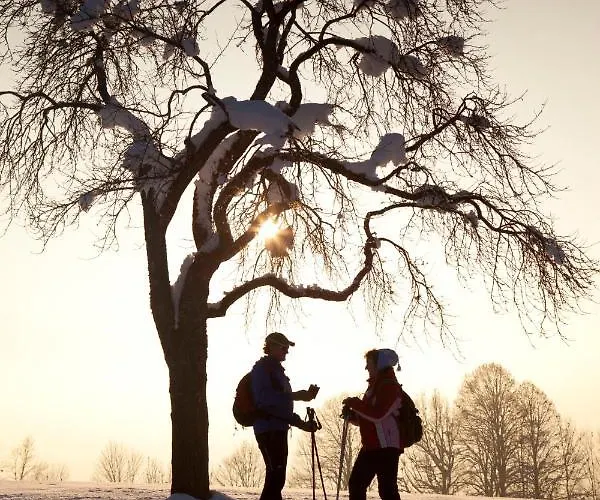 Tirolerhaus Апартаменты