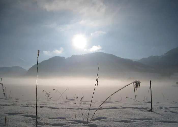 Tirolerhaus Апартаменты