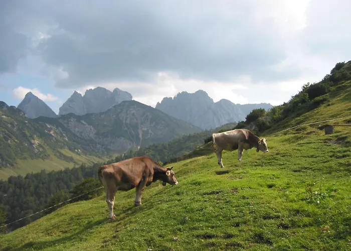 Tirolerhaus Апартаменты